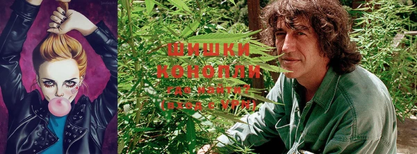 дурь Нестеровская