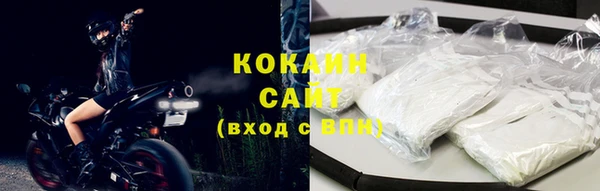 индика Магас