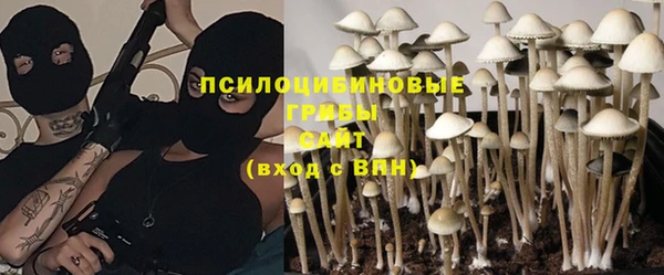 дживик Киренск