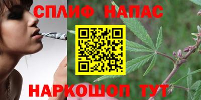 Альфа ПВП Можга