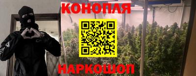 Альфа ПВП Можга