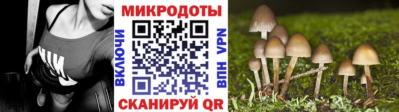 где купить наркотик  сайты даркнета телеграм  Псилоцибиновые грибы Psilocybe  Уссурийск 