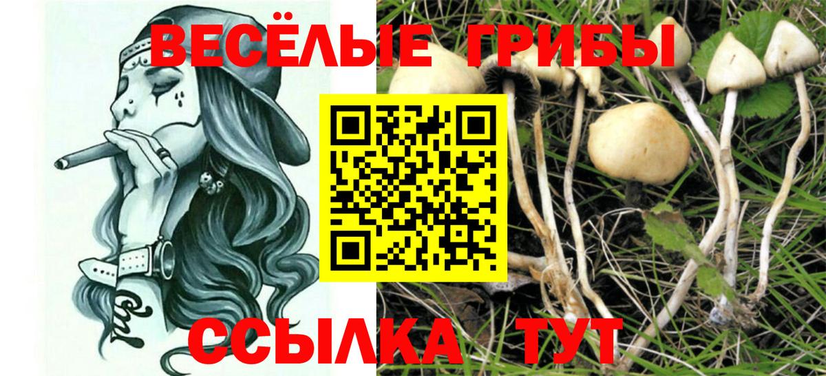 купить закладку  Галлюциногенные грибы мухоморы  Вход с VPN  Уссурийск 
